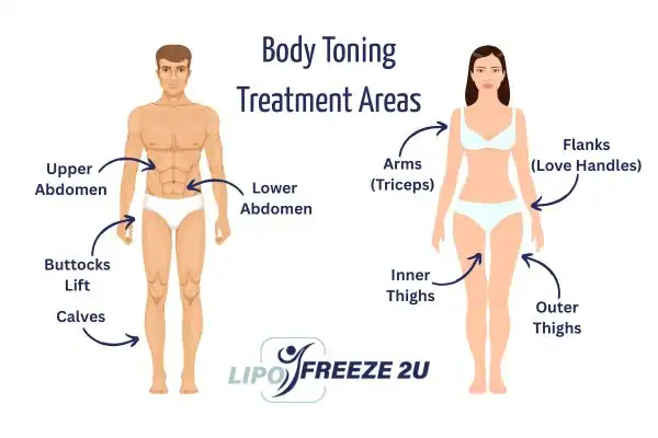 Graphic showing where you can have Body toning Treatment Brighton and Hove on your body
